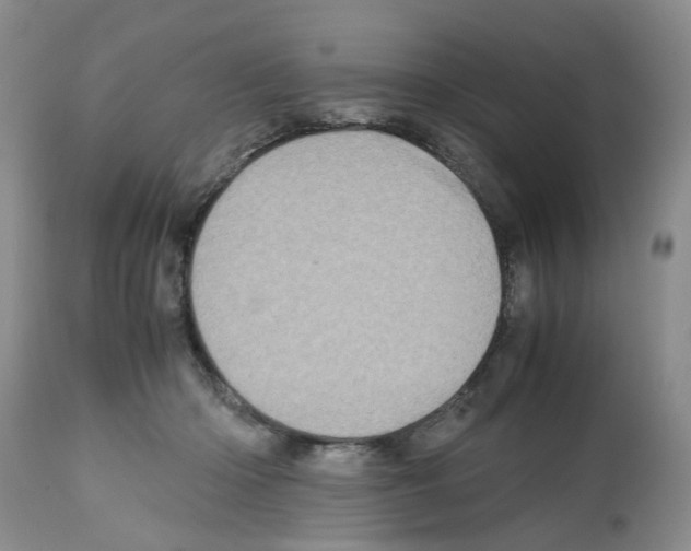 X0000112490414200909281137