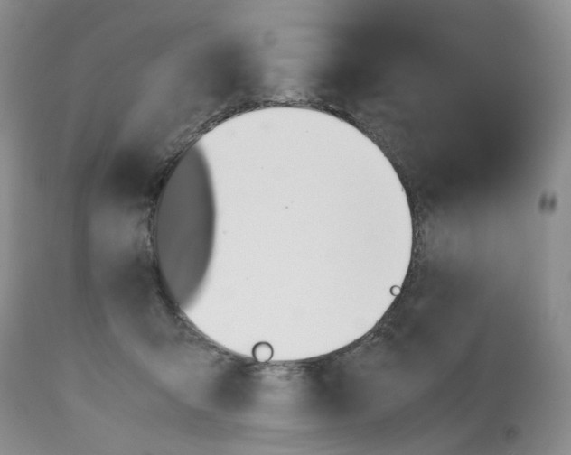 X0000112490415200909281137