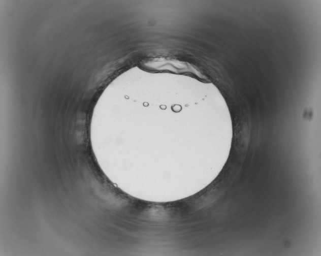 X0000112490416200909281137