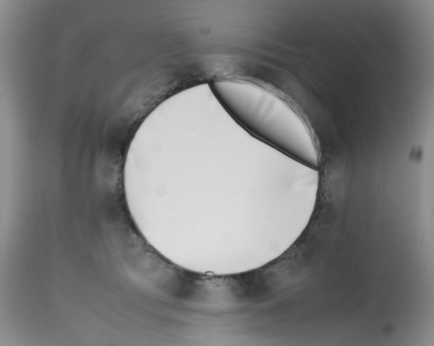 X0000112490417200909281137