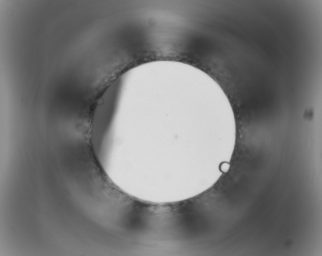 X0000112490419200909281137