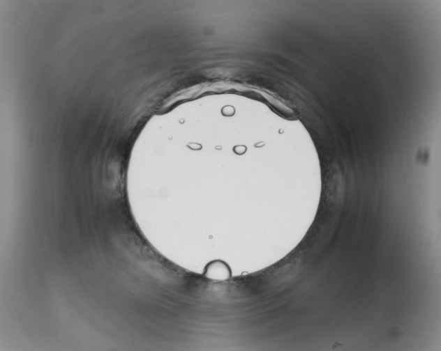 X0000112490420200909281137