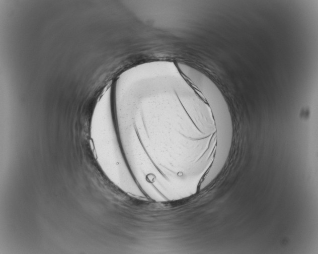 X0000112490421200909281137