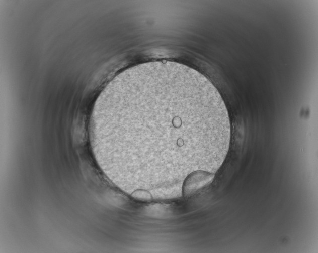 X0000112490422200909281137