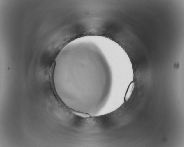 X0000112490423200909281137