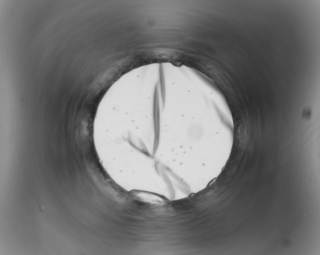 X0000112490424200909281137