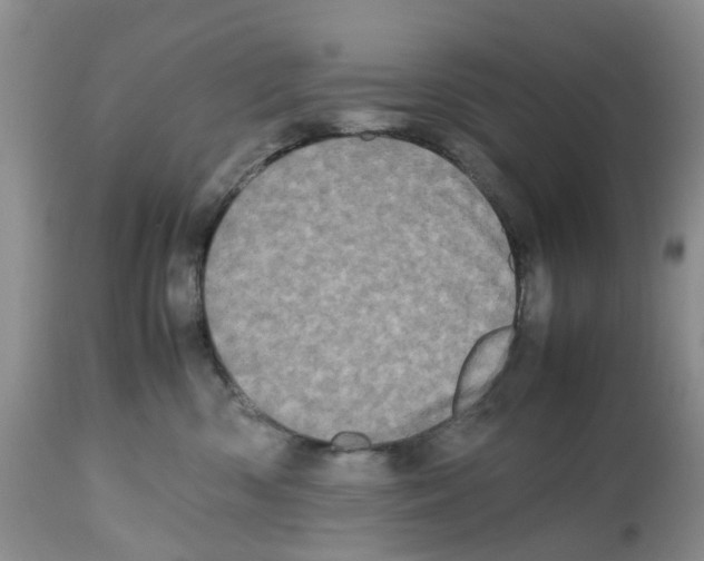 X0000112490426200909281137