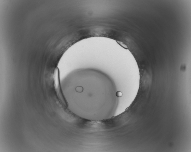 X0000112490427200909281137