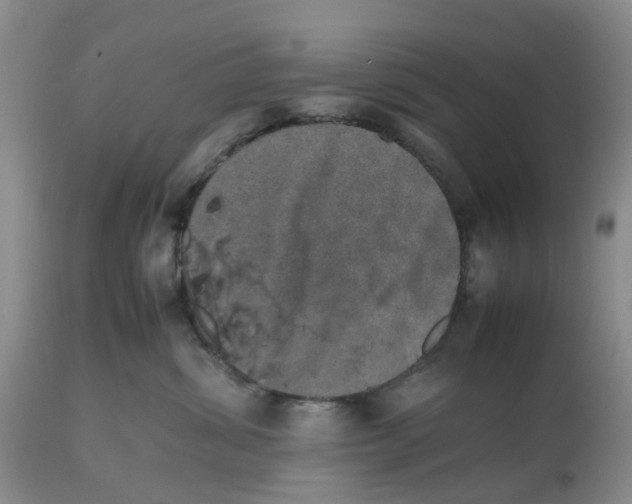 X0000112490428200909281137