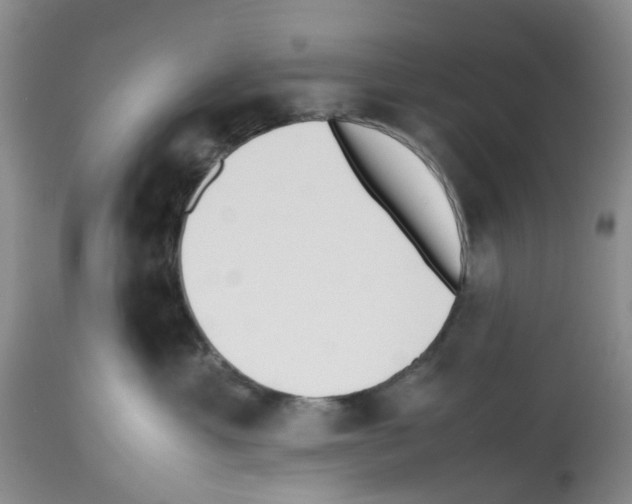 X0000112490429200909281137