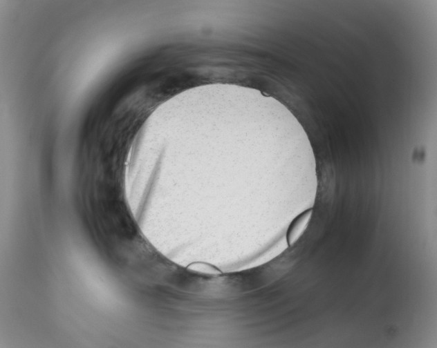 X0000112490430200909281137
