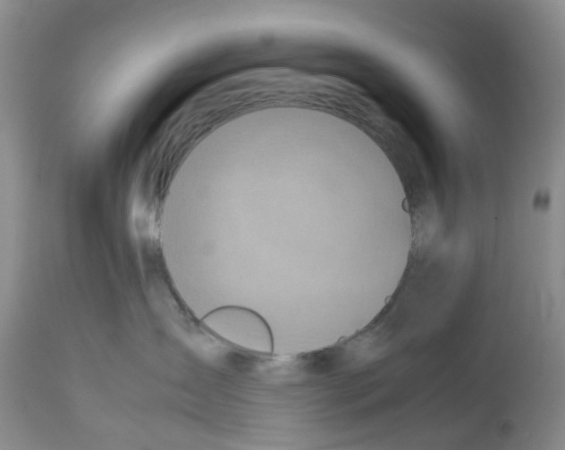 X0000112490431200909281137