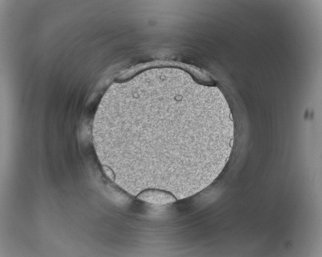X0000112490432200909281137