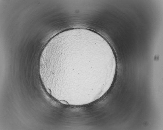 X0000112490433200909281136