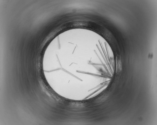X0000112490435200909281136