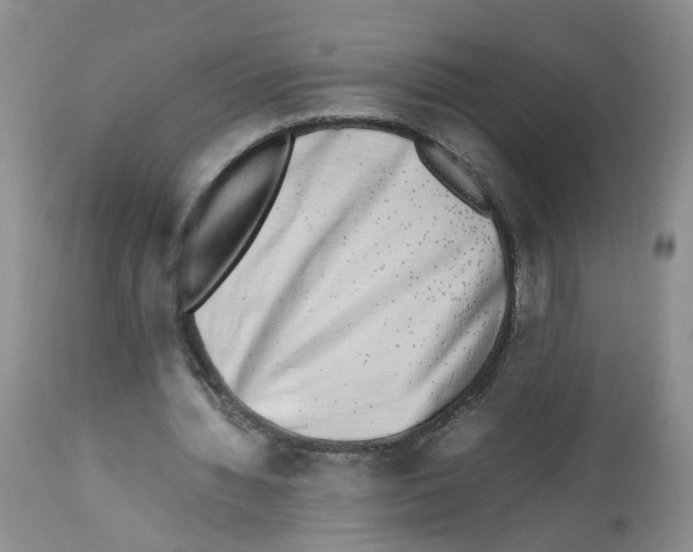 X0000112490436200909281136