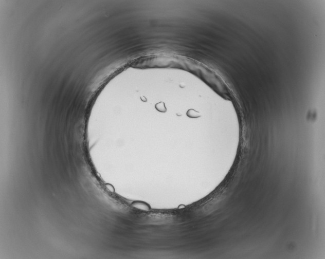 X0000112490437200909281136