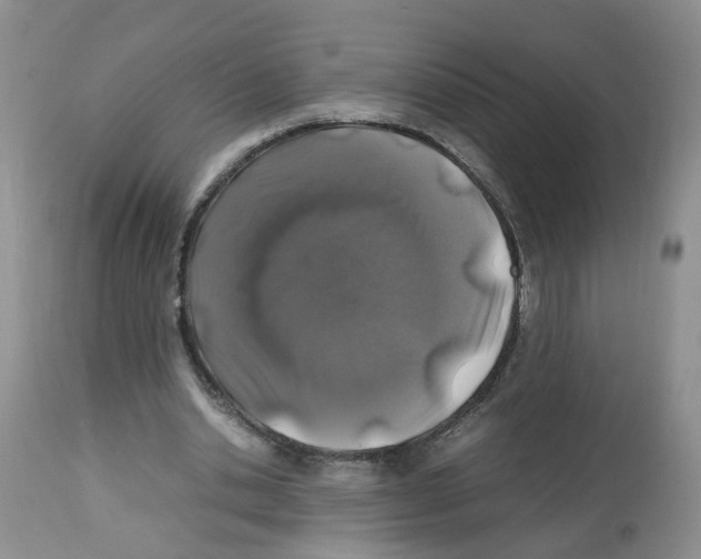 X0000112490438200909281136