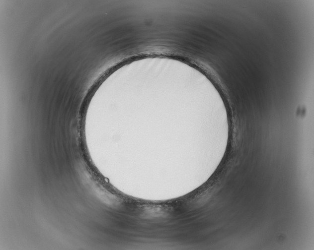 X0000112490439200909281136