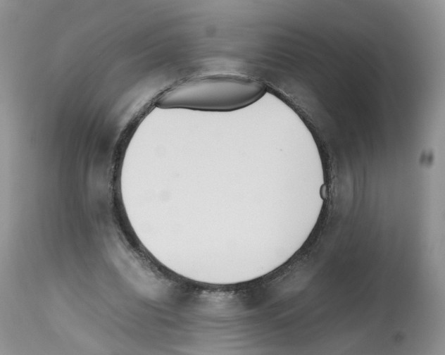 X0000112490440200909281136