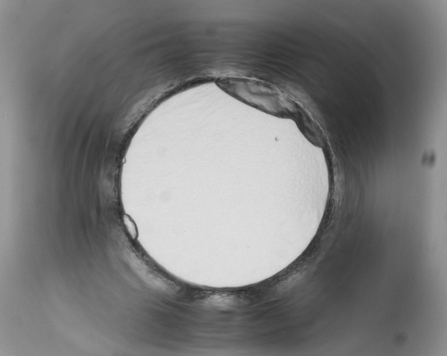 X0000112490441200909281137