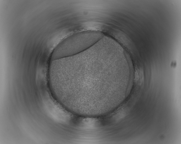 X0000112490444200909281137