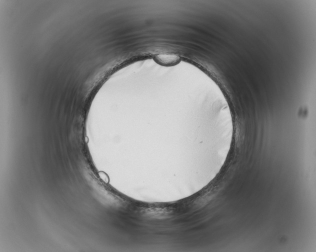 X0000112490445200909281137
