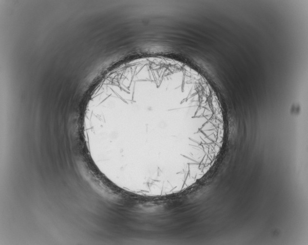 X0000112490447200909281137