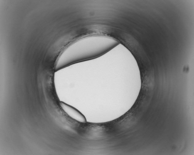 X0000112490456200909281137
