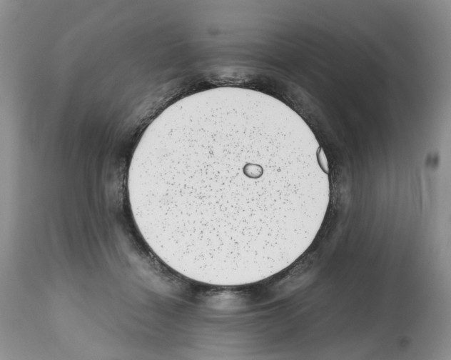 X0000112490460200909281137
