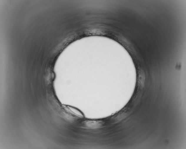 X0000112490465200909281137
