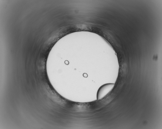 X0000112490466200909281137