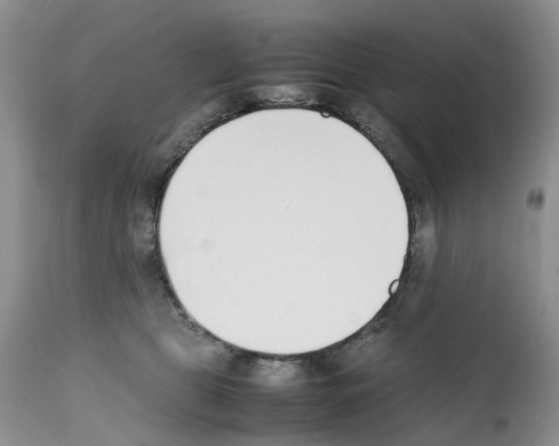 X0000112490469200909281137