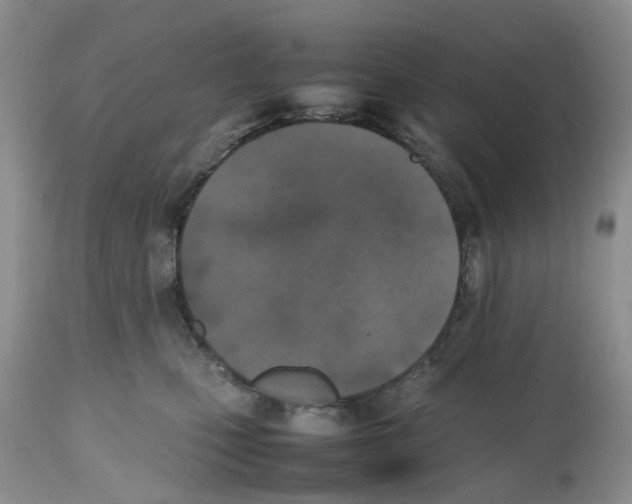 X0000112490471200909281137
