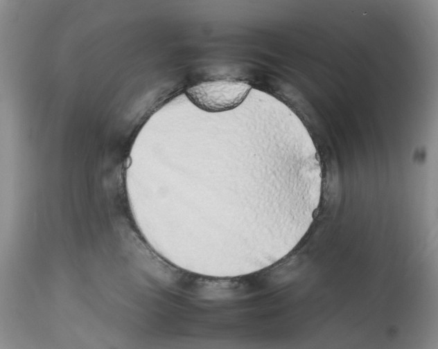 X0000112490473200909281137