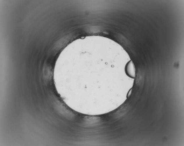 X0000112490476200909281137