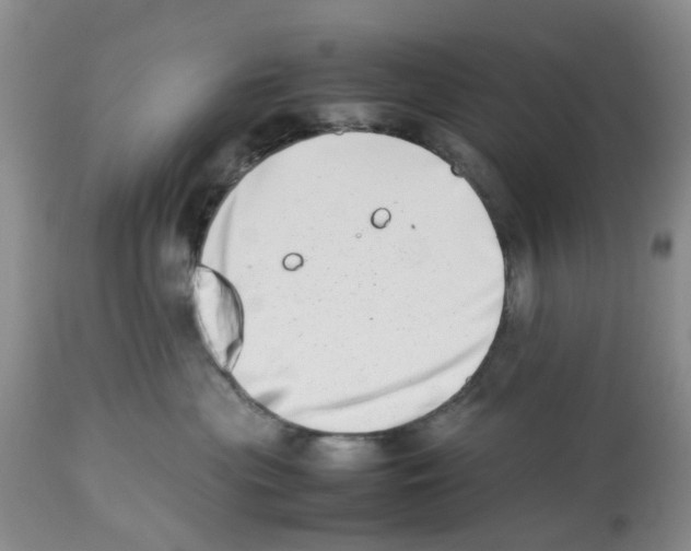 X0000112490477200909281137