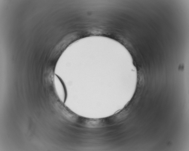 X0000112490479200909281137