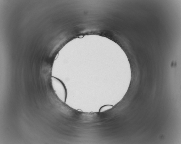 X0000112490480200909281137