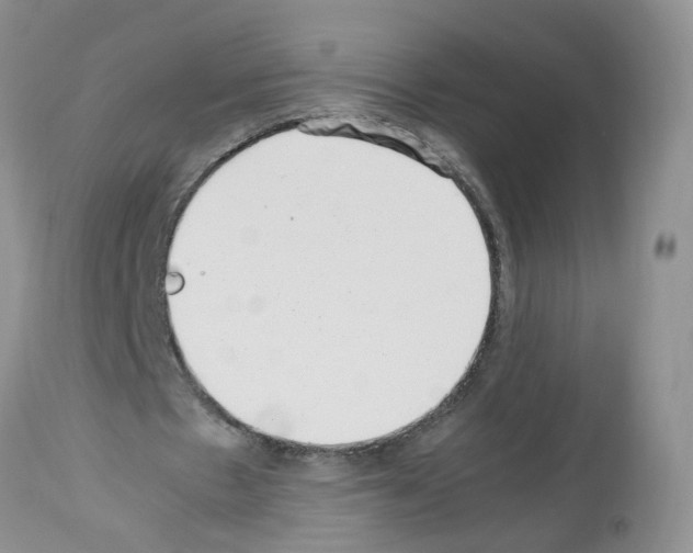 X0000112490481200909281136