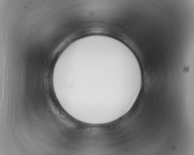 X0000112490482200909281136