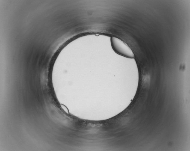 X0000112490484200909281136