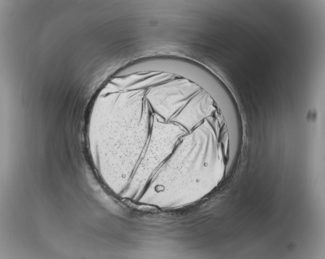X0000112490485200909281136
