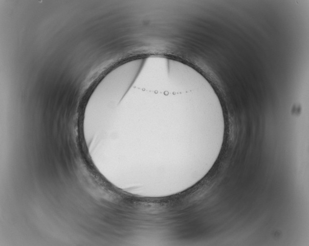 X0000112490486200909281136