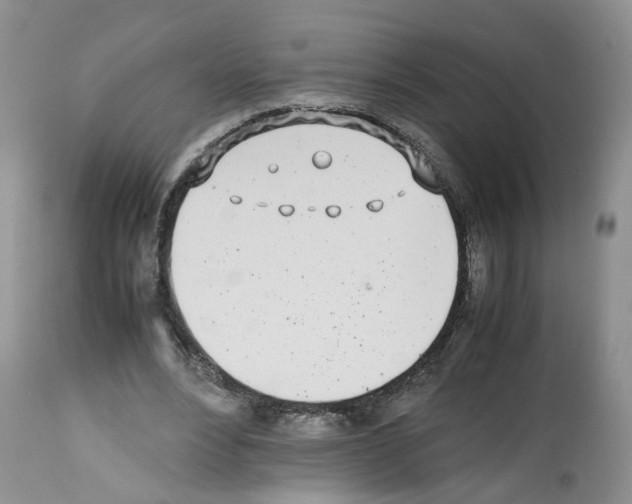 X0000112490488200909281136