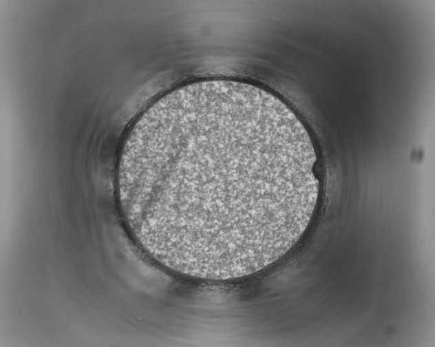 X0000112490489200909281136