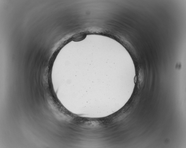X0000112490492200909281136