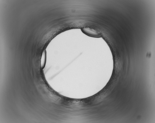 X0000112490493200909281136