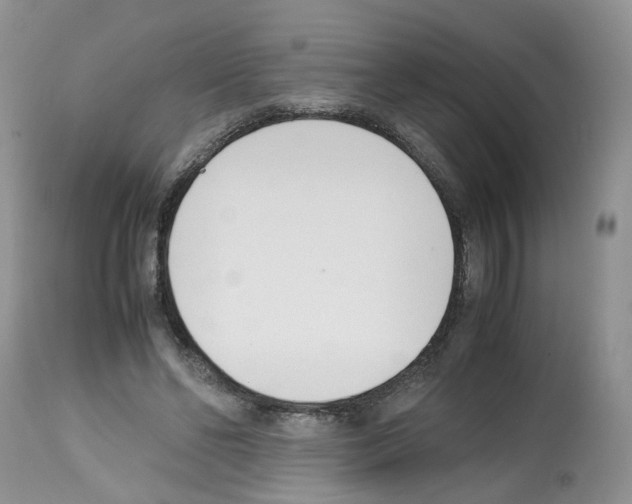 X0000112490494200909281136