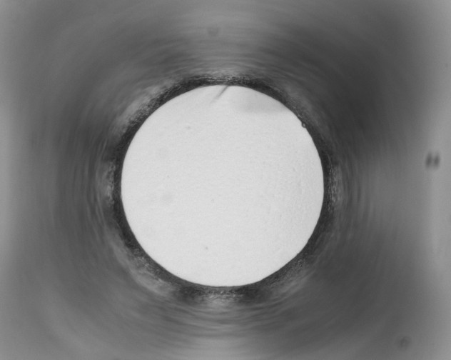X0000112490495200909281136